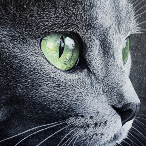 Russianblue